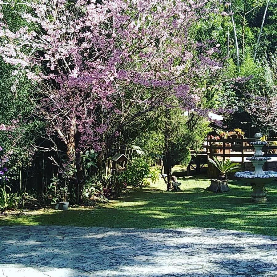 Havila Arara Azul Нова-Фрибургу Екстер'єр фото