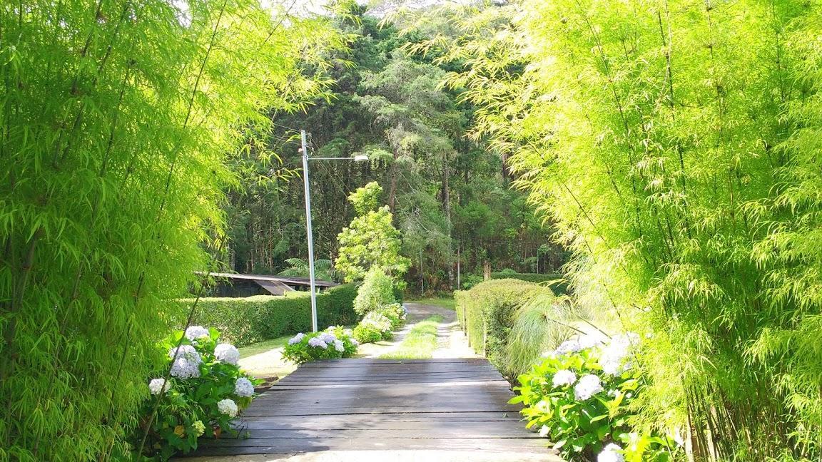 Havila Arara Azul Нова-Фрибургу Екстер'єр фото
