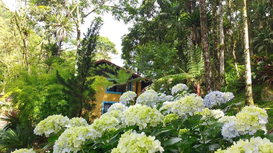 Havila Arara Azul Нова-Фрибургу Екстер'єр фото